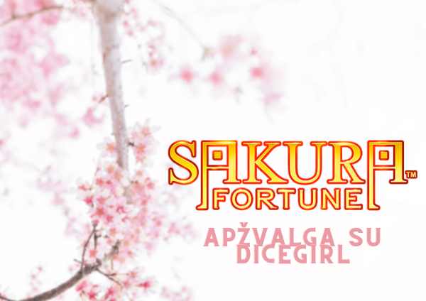 Recenzja Sakura Fortune (Quickspin)